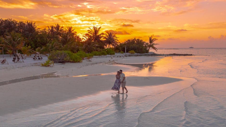 Attachment Styles in Dating — Which Type Are You? | DateOne Newark